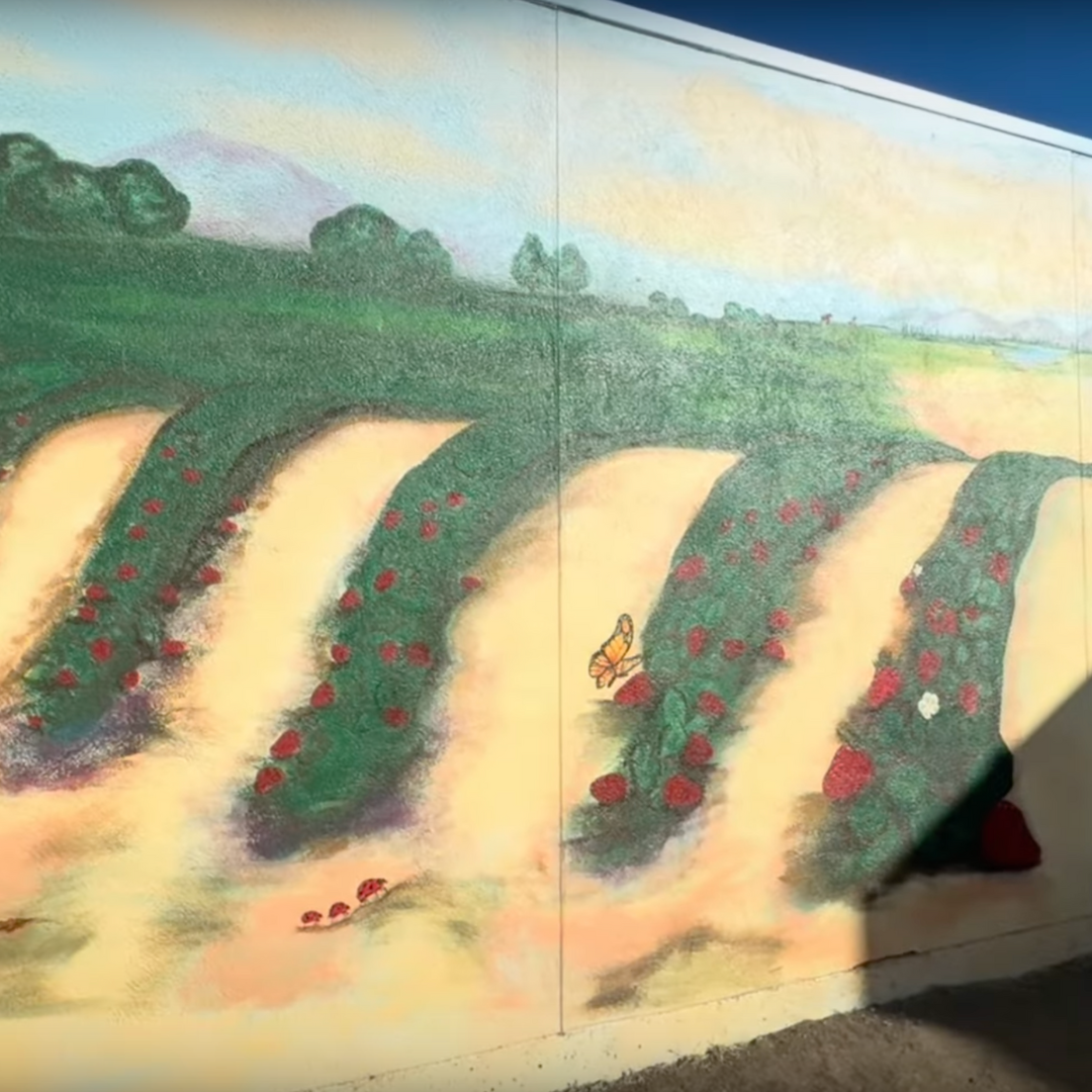 Marshall Elementary School Garden Mural